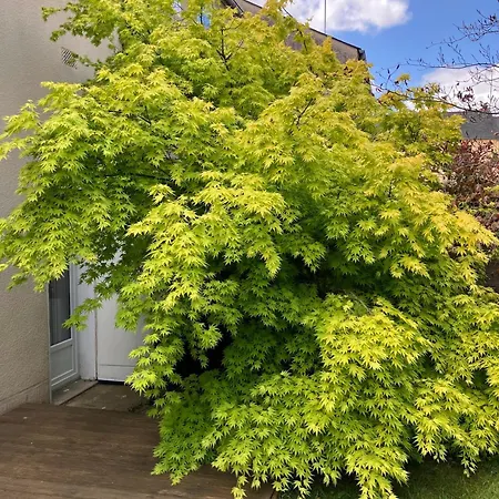 28 Rue Louis Bleriot 72700 Alonnes *