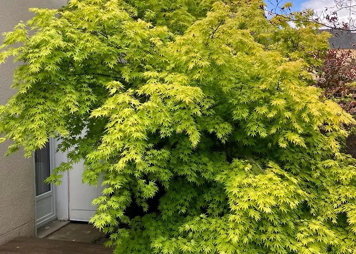 28 Rue Louis Bleriot 72700 Alonnes *