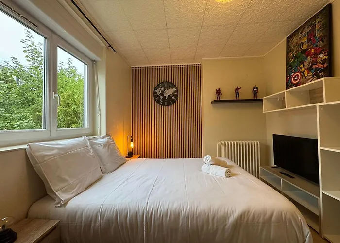 28 Rue Louis Bleriot 72700 Alonnes Nyaraló Allonnes